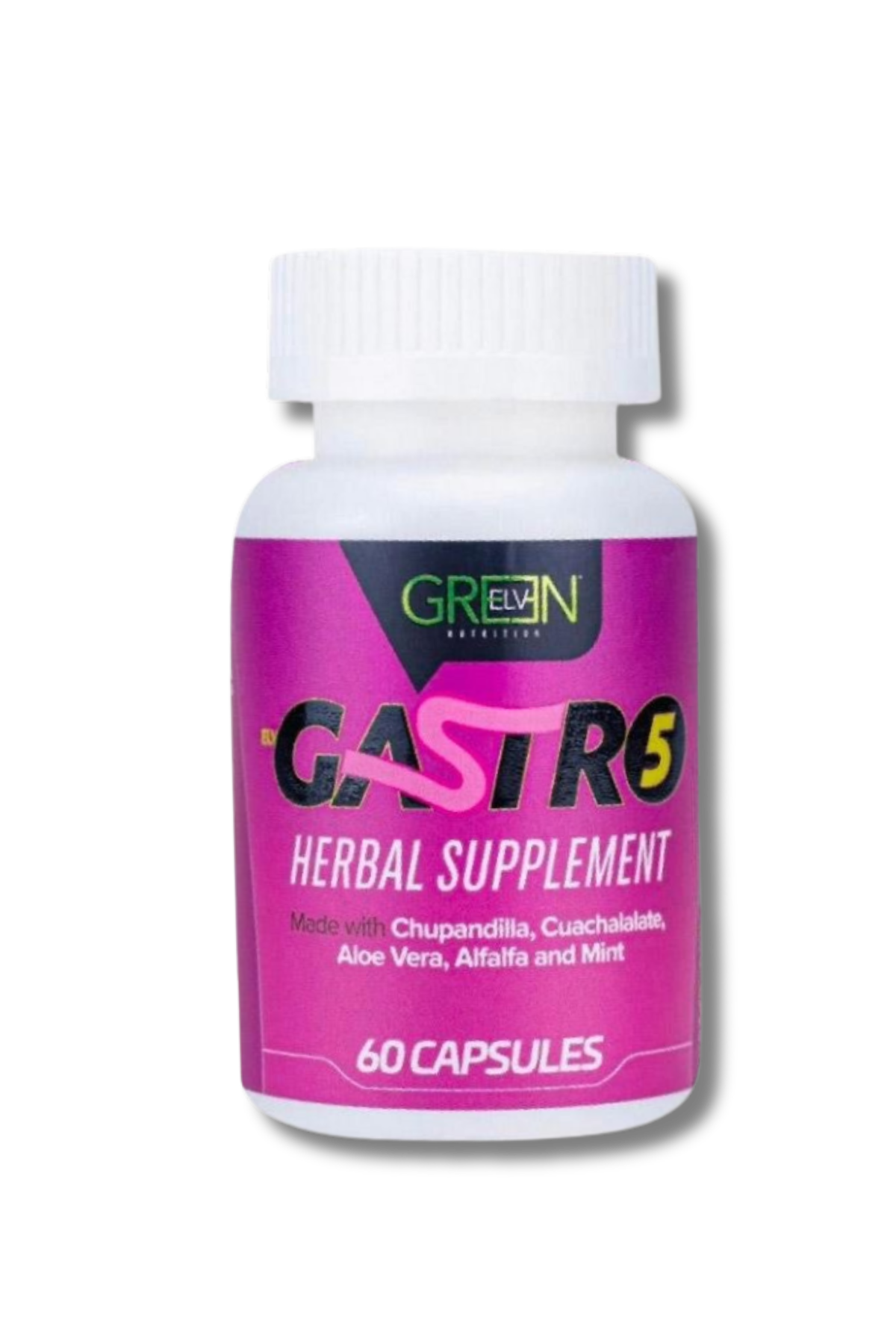 GASTRO 5